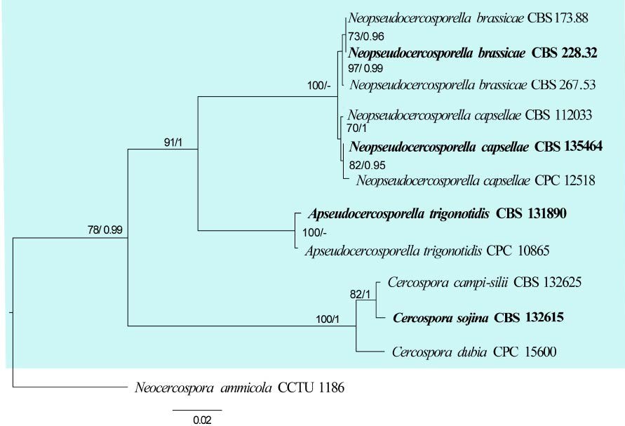 Figure 18